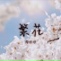 周明明