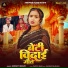 Shrishti Bharti