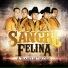 Sangre Felina