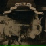 wych elm