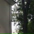 rydglek