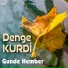 Denge Kurdi