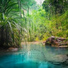 Nature Sounds Relax
