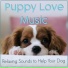 Dog Music Dreams, Dog Music, Relaxmydog