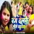 Raman Rajesh