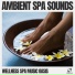Wellness Spa Music Oasis