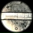 Entoniu & Agape