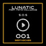 Lunatic feat. Pete Millwood