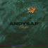 Andysap