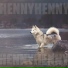 Seeny Boy