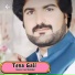 Hazoor Jan Shahidai
