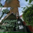 Almas del Hip hop