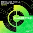 Stoneface & Terminal, Roger Shah