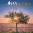 Jiyan