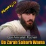Qari Aminallah Roohani