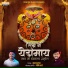 Vrushabh Hatkar