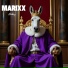 MARIXX