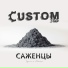 CUSTOM CORP