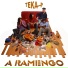 Teka P
