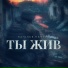Наталья Качура