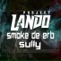 Project Lando