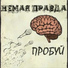 Немая правда
