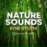 Relaxing White Noise