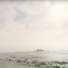 Нелля Петрович