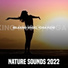 Relaxing Music, Yoga Flow