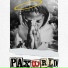 PaxWRLD