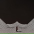 FORM