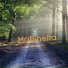 MafShelta