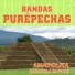 Bandas Purépechas