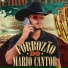 Mario Cantor