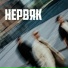 БЭЙТ