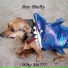 Ray Shelly
