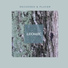 Ludomatic