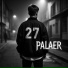 PalAer