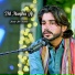 Aamir Ali Chandio