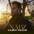 Hamid Hesam