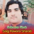 Suleman Shah Watan Dost