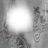 yng splash