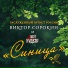Поэт Кудеяр, Виктор Сорокин