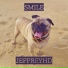 jeffreyHD