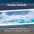 Ocean Currents, Ocean Sounds, Nature Sounds