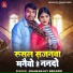 Dhananjay Bedardi