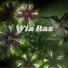 Wiz Ras