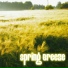 Spring Breeze