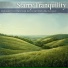 Starry Tranquility