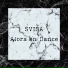 SVISA